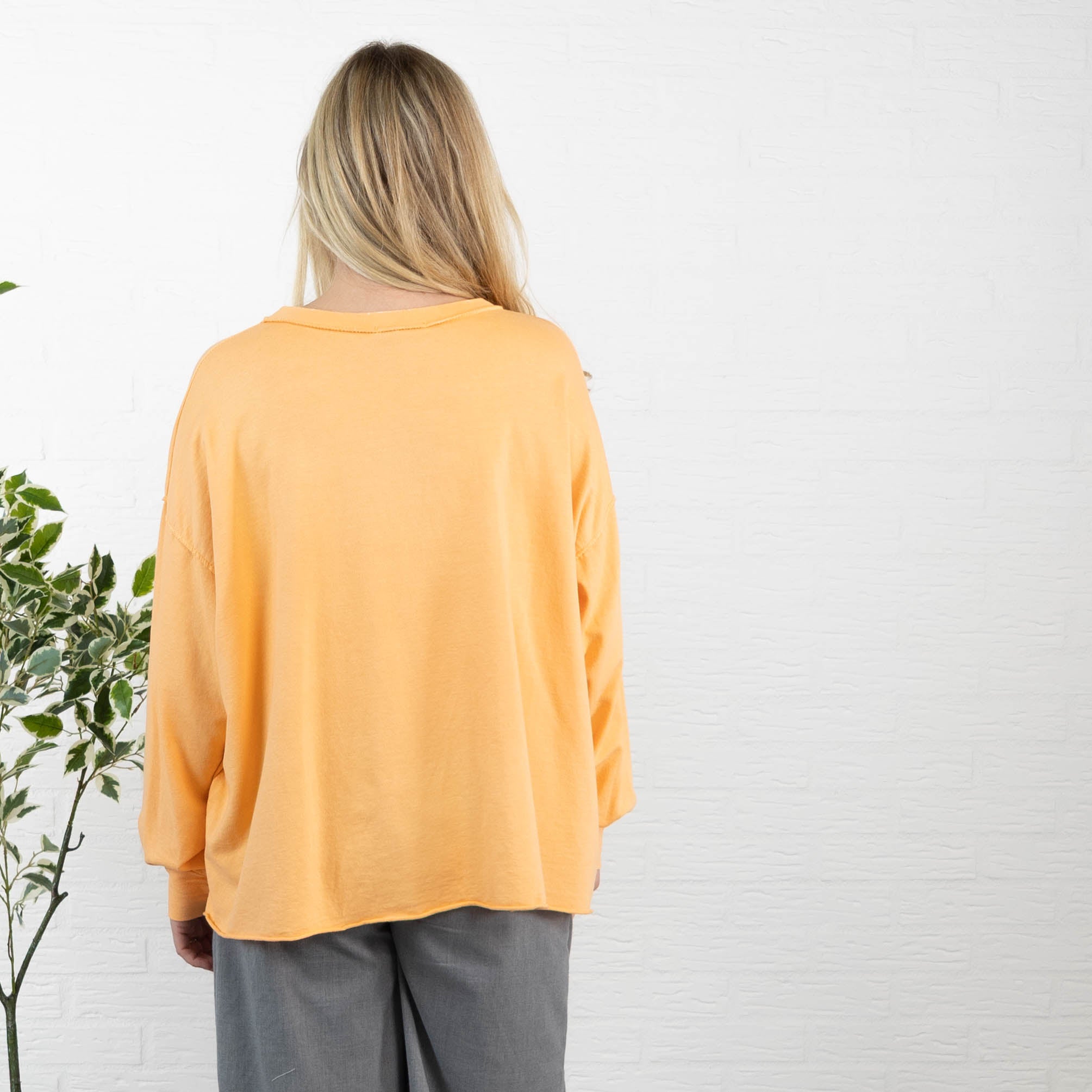 LEVEL 1 sweatshirt, Koral