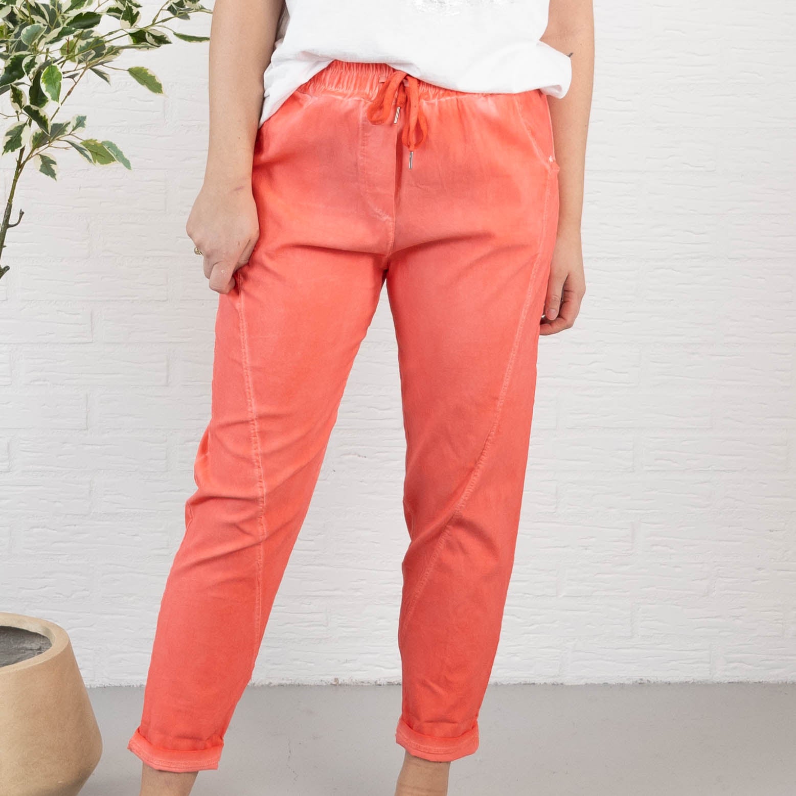 Kentucky bukser, Koral