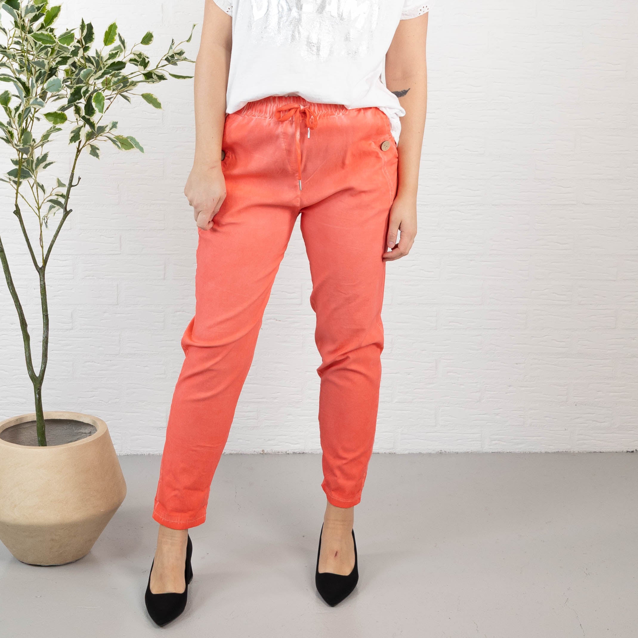 Sydney bukser, Koral