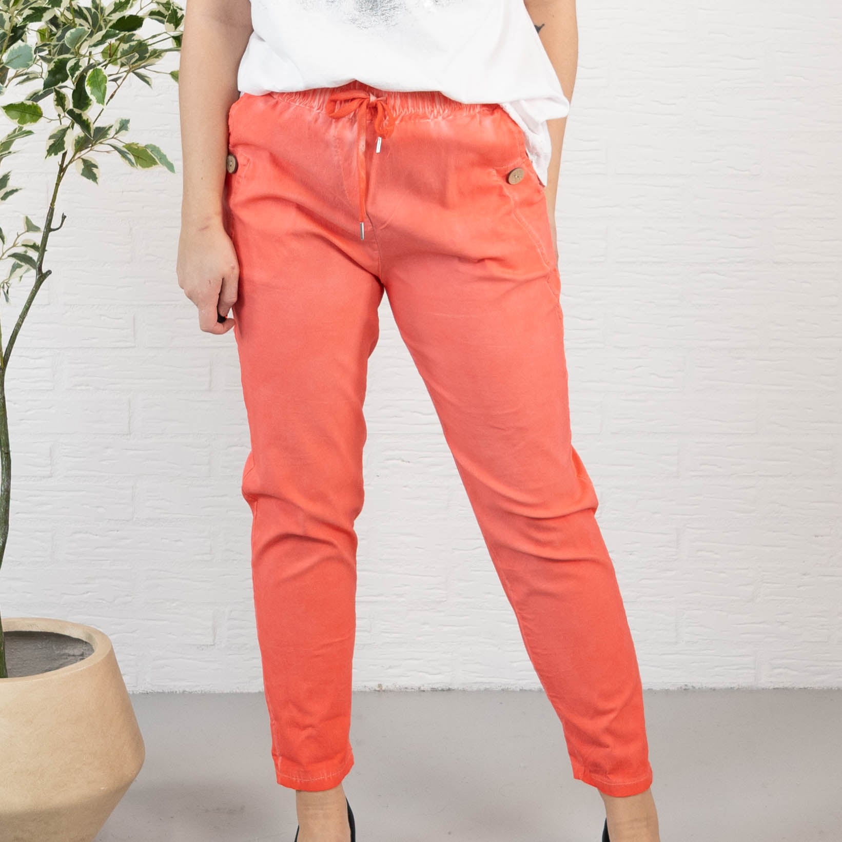 Sydney bukser, Koral