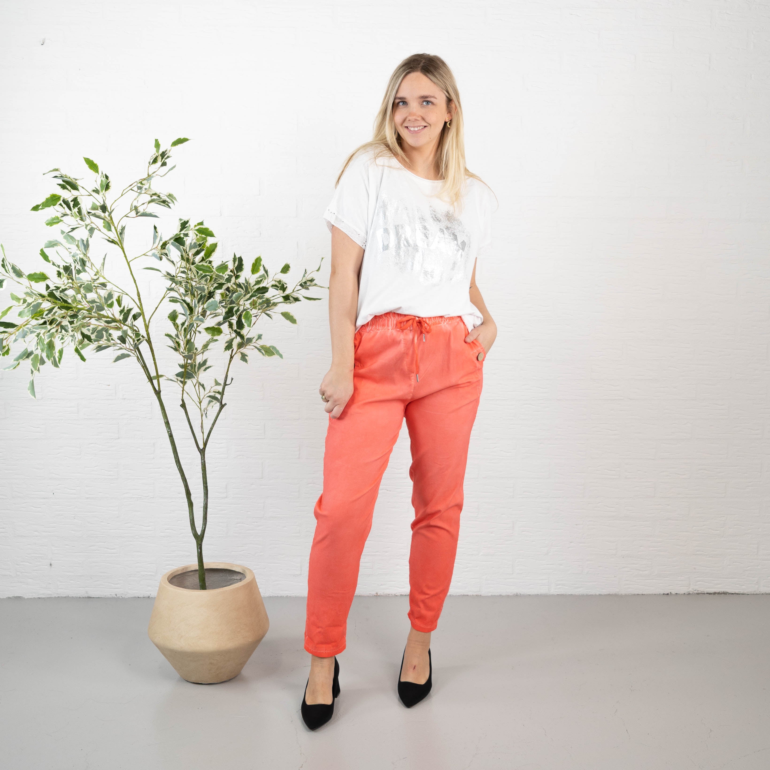 Sydney bukser, Koral