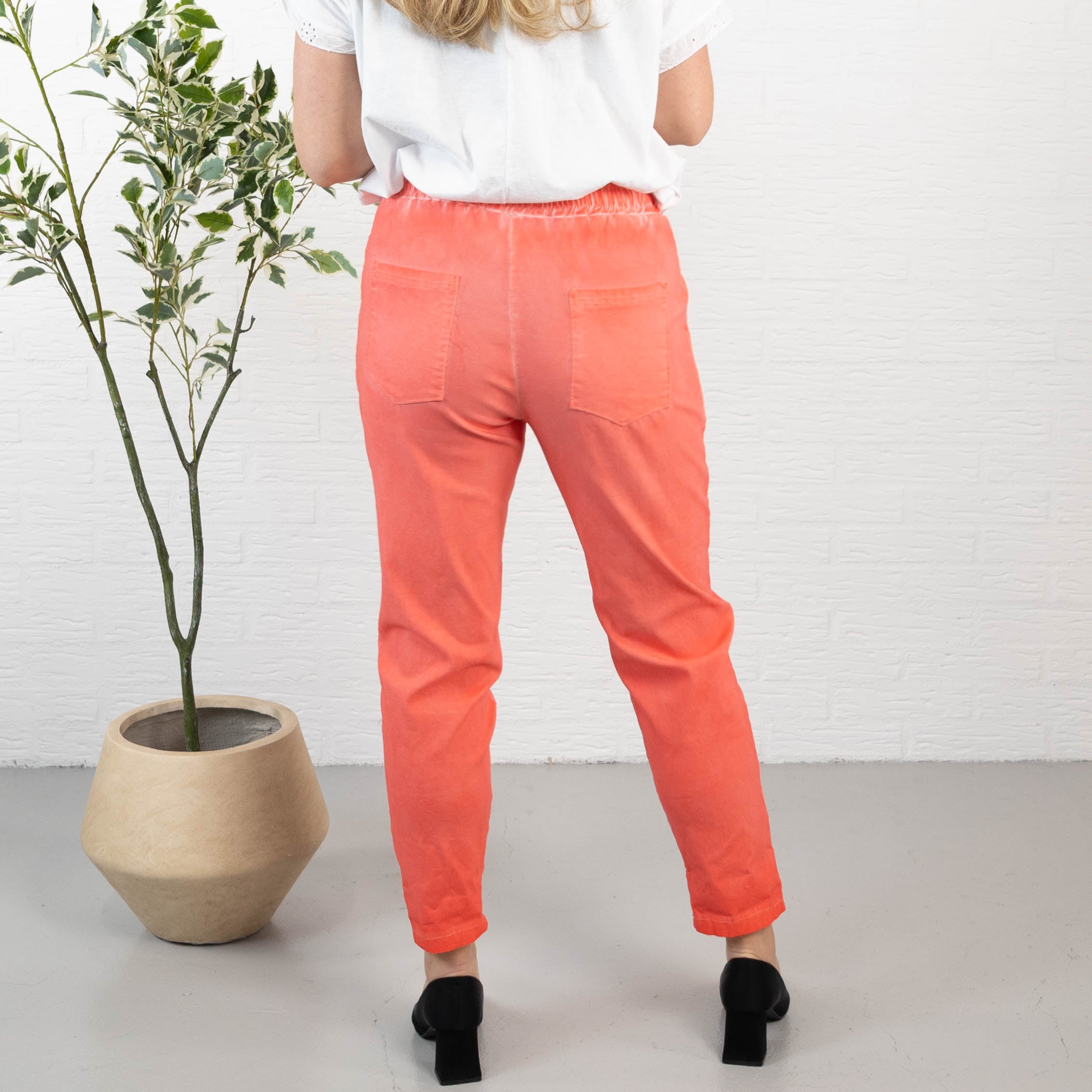 Sydney bukser, Koral