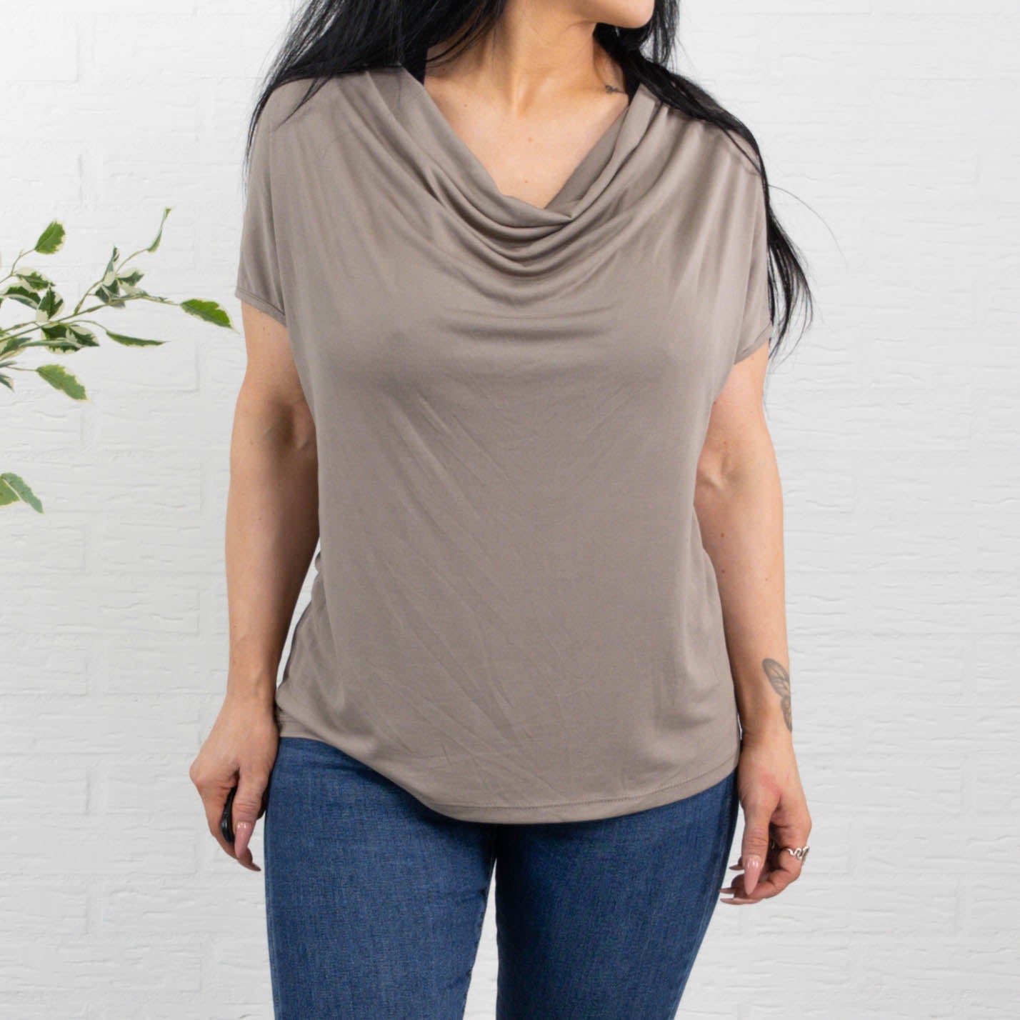 Molly overdel, Taupe