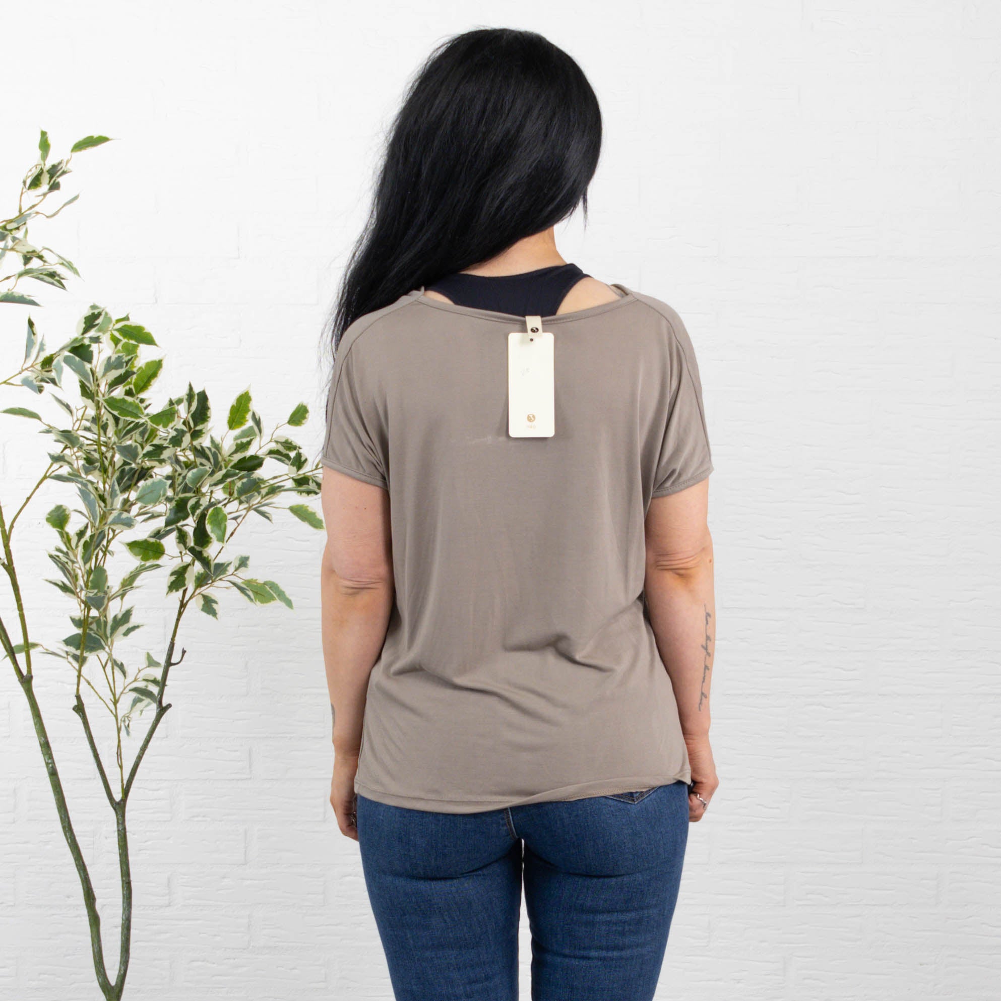 Molly overdel, Taupe