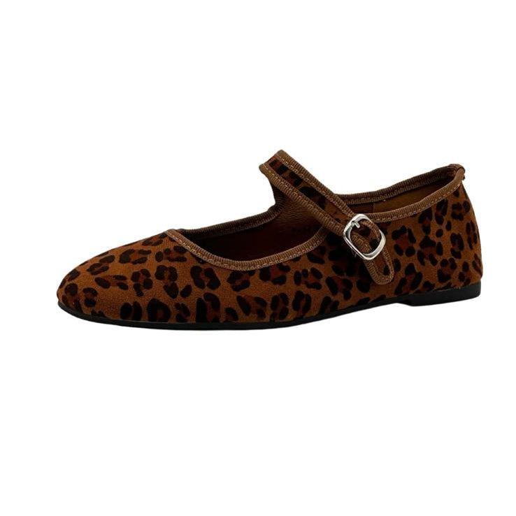 Felicia ballerina, Leopard