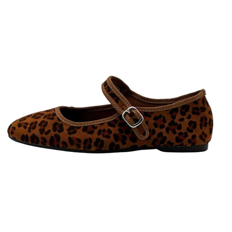 Felicia ballerina, Leopard