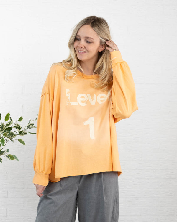 LEVEL 1 sweatshirt, Koral