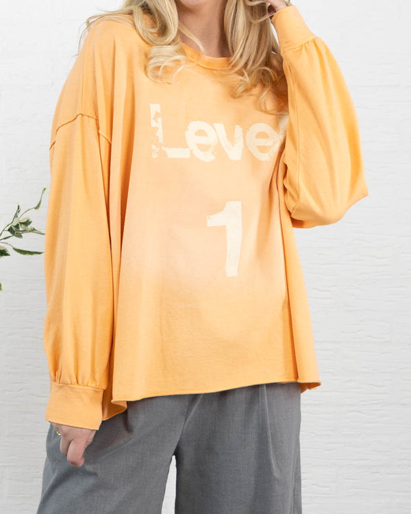 LEVEL 1 sweatshirt, Koral