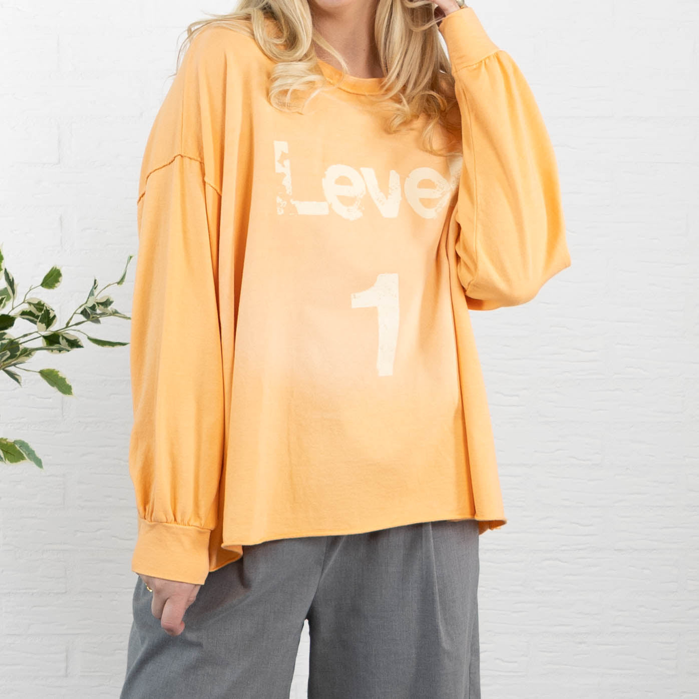 LEVEL 1 sweatshirt, Koral