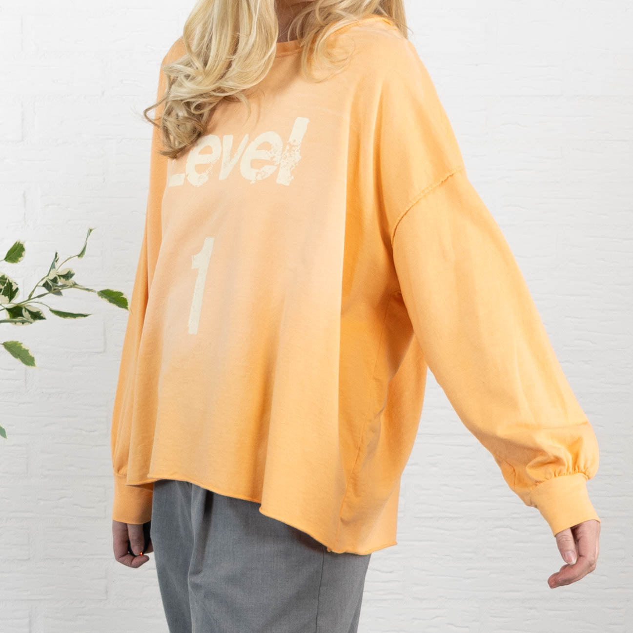 LEVEL 1 sweatshirt, Koral