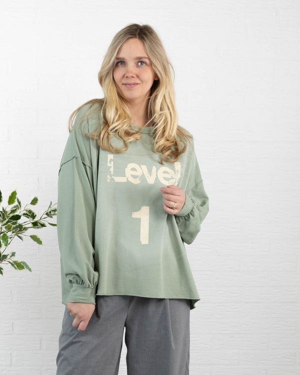LEVEL 1 sweatshirt, Khaki