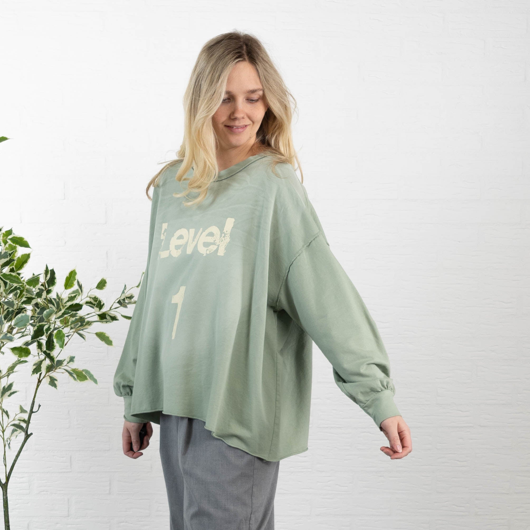 LEVEL 1 sweatshirt, Khaki