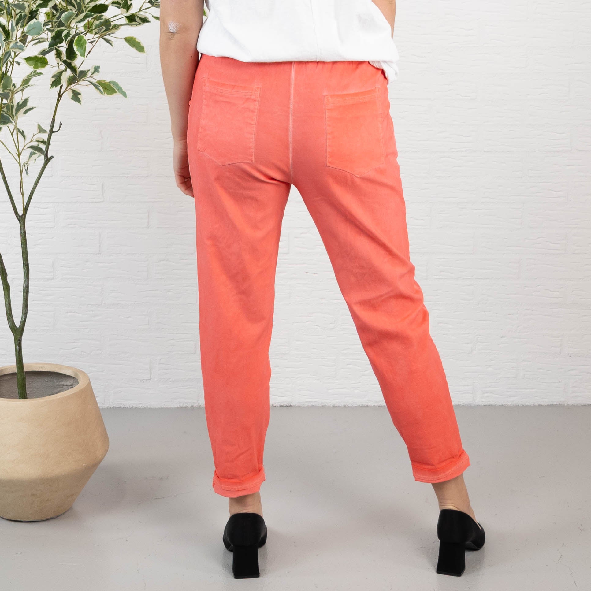 Kentucky bukser, Koral