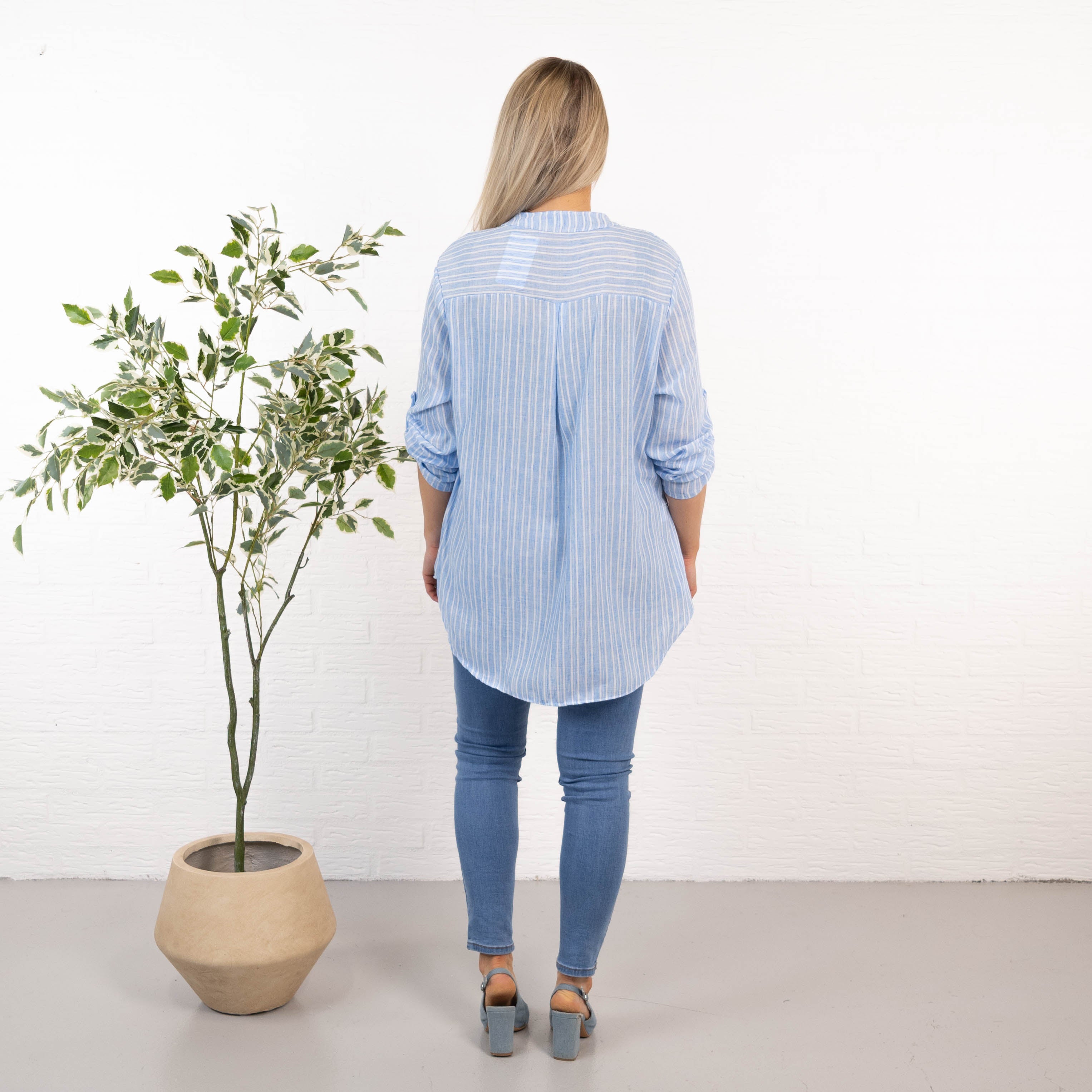 Viola overdel, Lyseblå