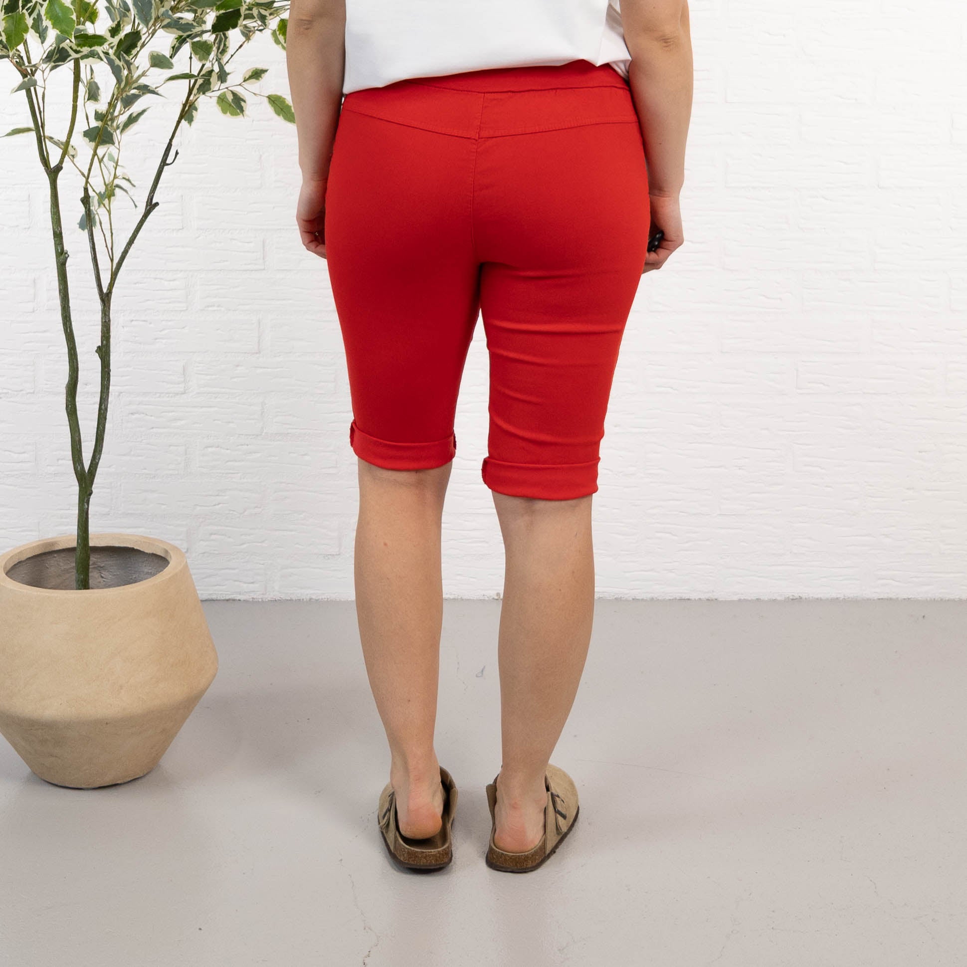 Ada shorts, Rød