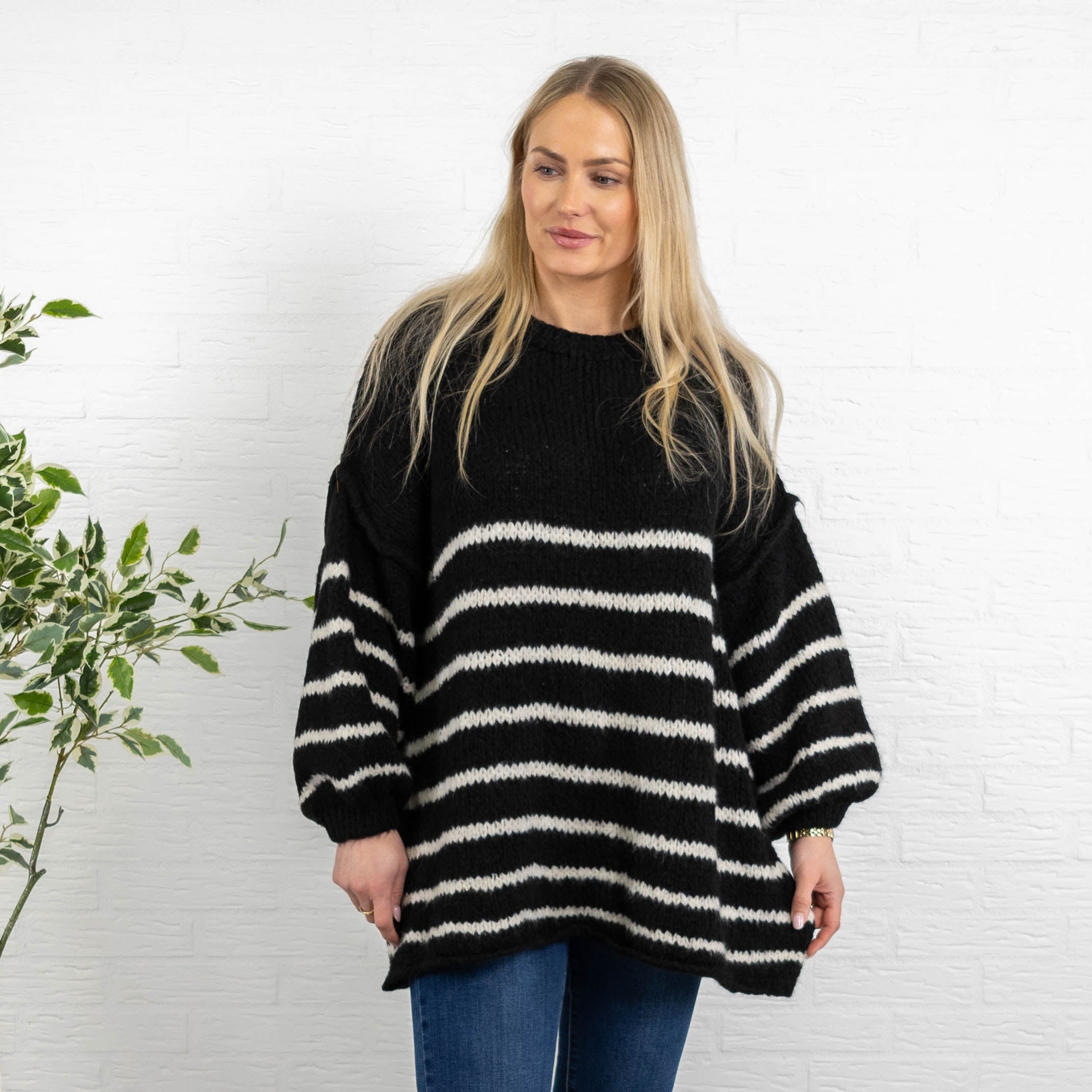 Isabella strik, Sort